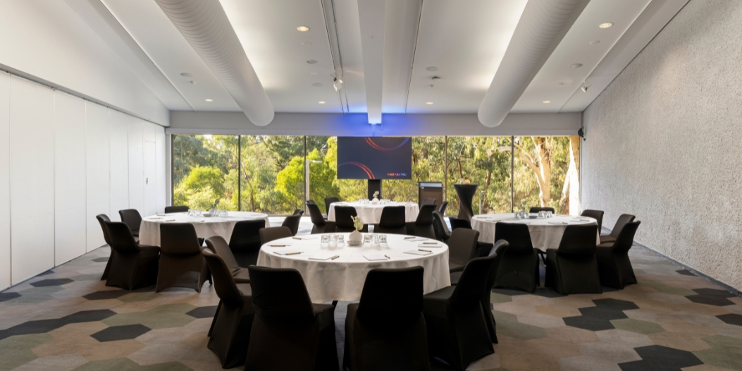 Mt Dandenong 1.jpg